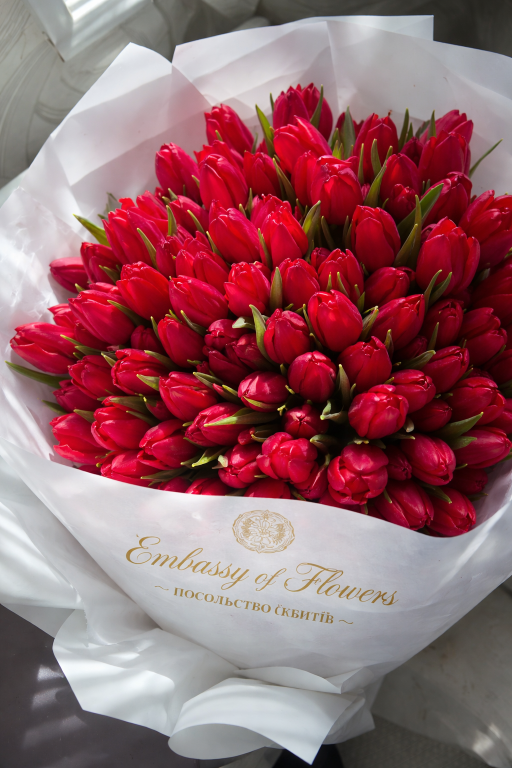 Тюльпан червоний